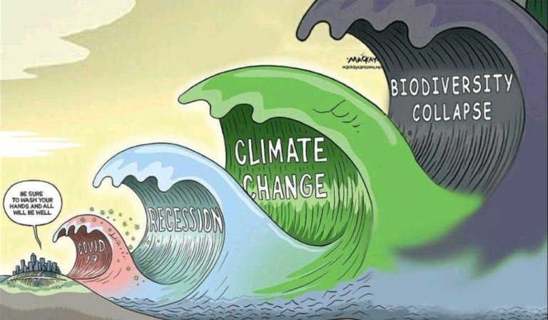 K3C_Earth's tweet photo. Why do we need to invest in nature?
Why we need to rethink our relationship with nature?
And how should the financial sector play its role?
Because the tsunami of biodiversity collapse is more dangerous than climate change, and both are more devastating than the economic reces. https://t.co/Y7UiXWp61l