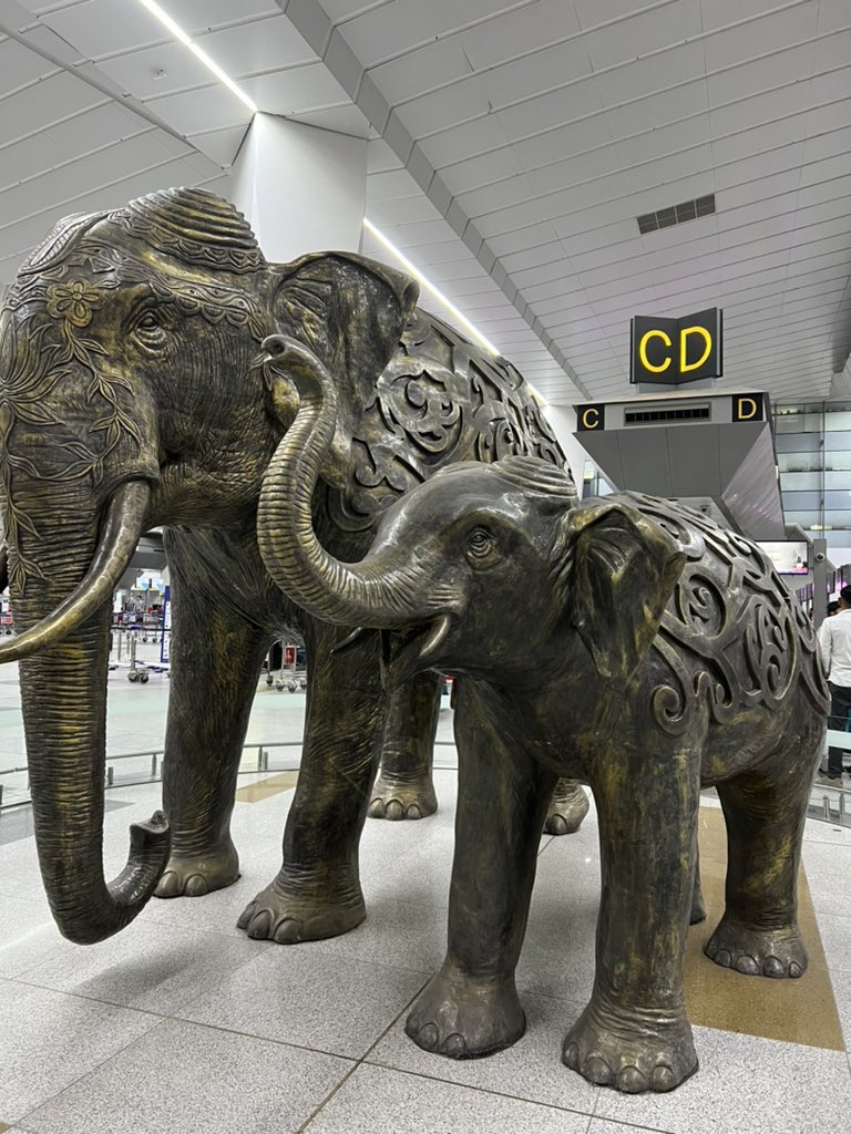 Dr. Lavanya Vemsani Ph.D. tweet media