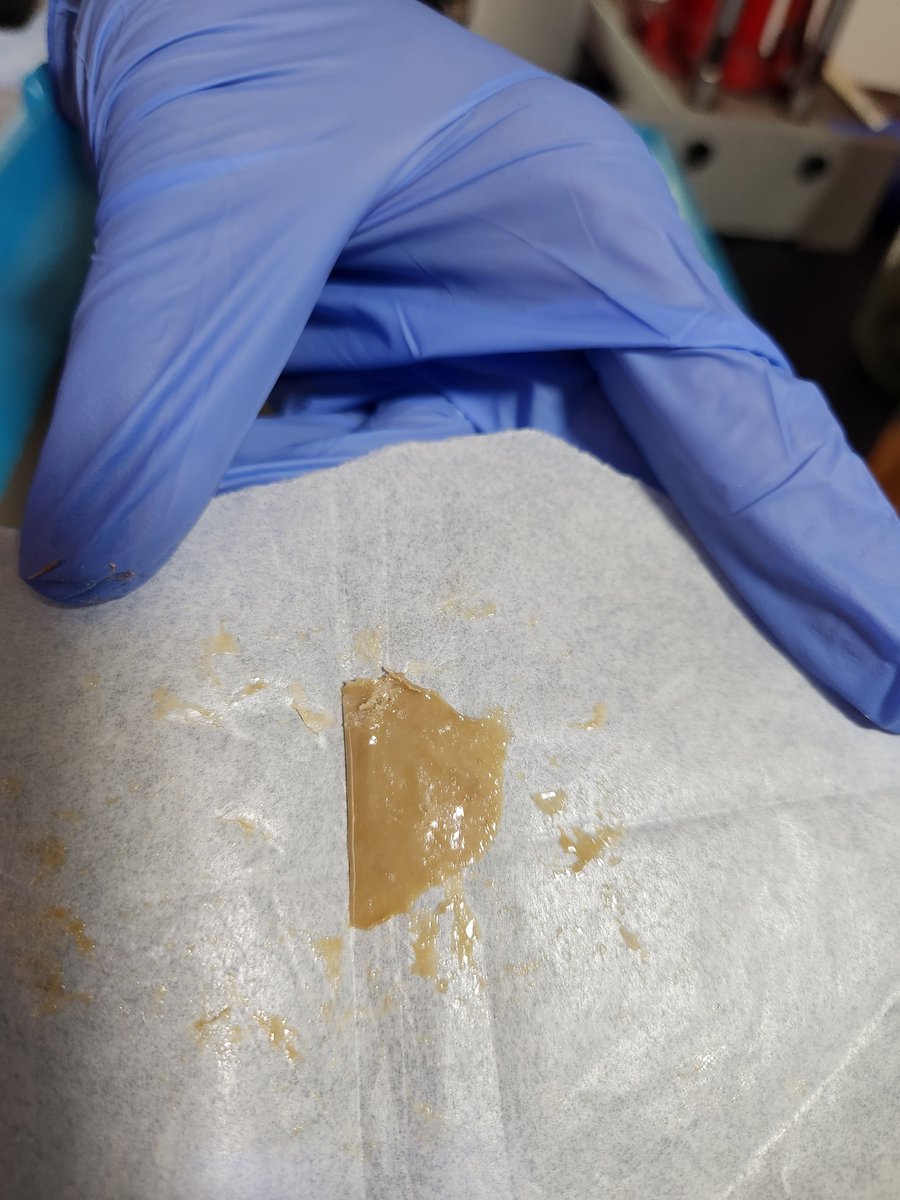LiciousTt's tweet photo. Blueberry Glue Rosin... fresh pressed!
Hope everyone is having a fabulous week!

using a @Dabpress, with #thePressClub filter bags #37micron #160degrees #coldcure #BlueBerry #smalls #golden #dablovers #weedlovers #cannaland #mmemberville #420community #CannabisCommunity #rosin #love @Dabpress #onelove
