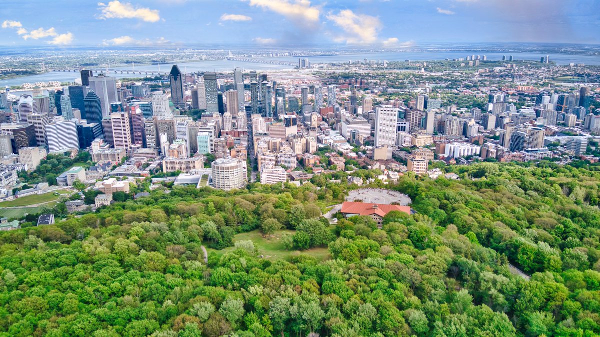 Montréal tweet media