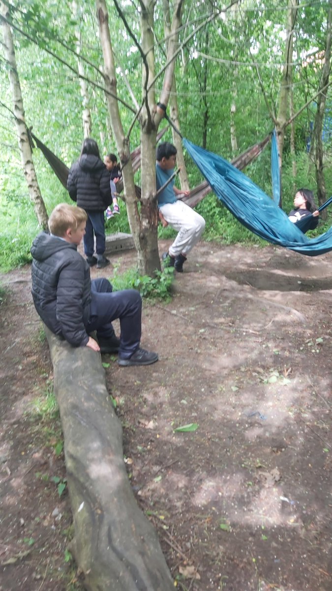 Forestschoolmvps tweet media