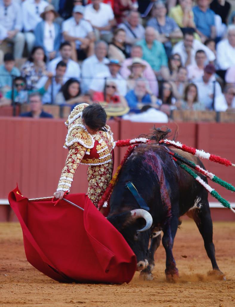 MarcosLinares__'s tweet photo. Sevilla en el corazón 

14/05/2023 https://t.co/es5WPMeO0J