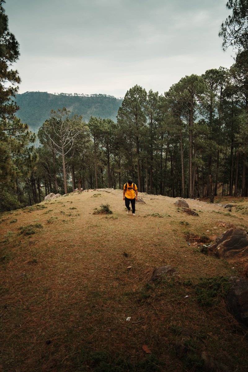 Being Outside is the best therapy.

#keepitwild #simplyadventure #lifeofadventure #liveoutdoors #beautifuldestinations #roamtheplanet #discoverearth #wherewillwegonext #makemoments
#exploremore #stayandwander #goexplore #destinationearth #familytravel #exploringtheworld