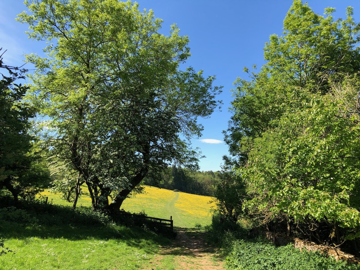 Less than 24 hours before Winchcombe Cotswolds Walking Festival will close for online bookings. The weather is fine so book now. # cheltenham # walking # cotswolds tinyurl.com/wujfe2yr