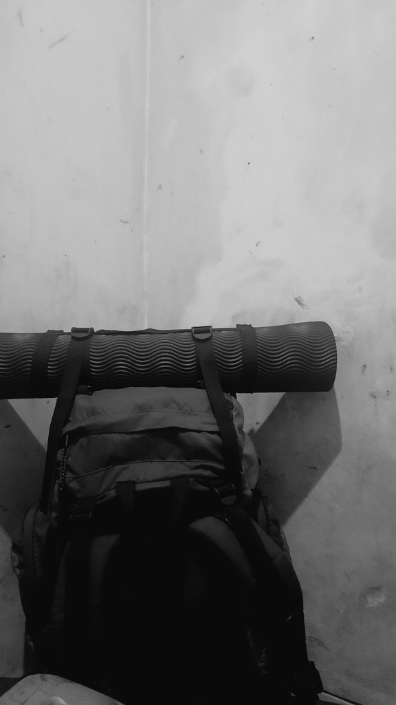 Yuditarigan (@yuditarigan_) on Twitter photo 