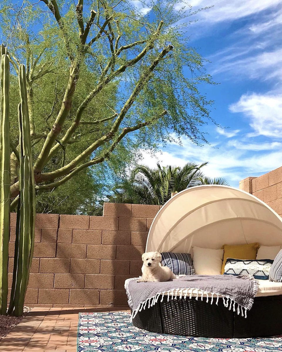 AmazonHomeDec tweet picture