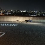 Photo by レオンと保護猫ちゃん (@hashjera)