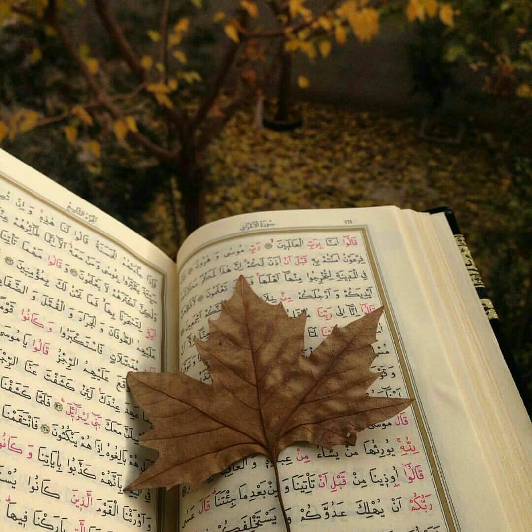 Tutanacak o kadar Ayet varken hala çaresiz hissediyorsak kendimizi, Kur’an-ı  kalbimize koyamamış olabiliriz.