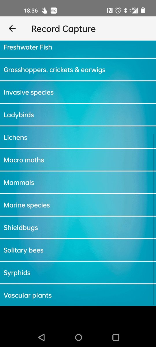 Geeniegii's tweet photo. @BioDataCentre hi there I'm looking to log this guy on your app but I don't see a category for insects. Can you advise what I should put it under? https://t.co/r3oAOQDWQh