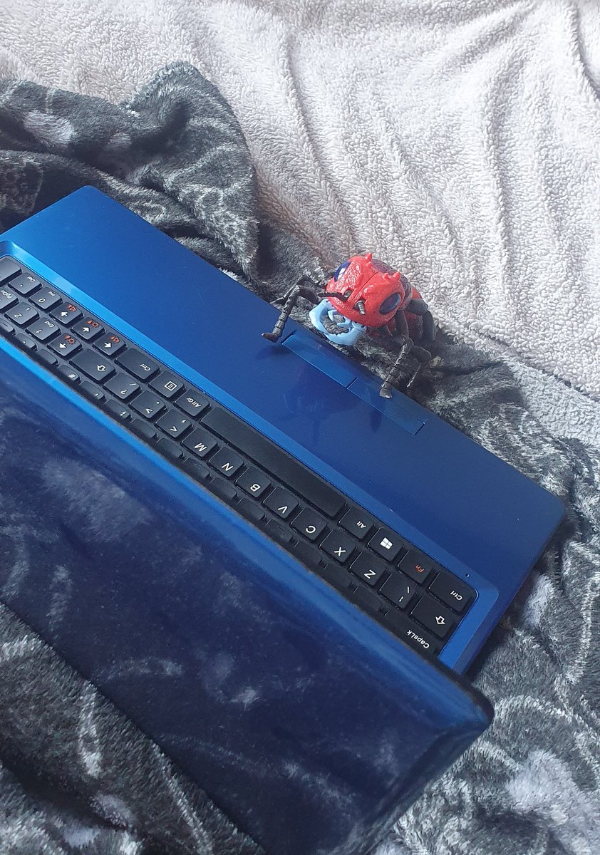 This is where I tweet from