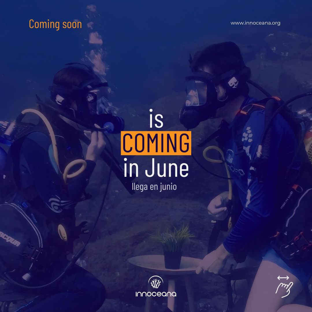 📆 Only 4 weeks to go until our new project sees the light on Ocean Day!

📲 Stay tuned on our social media because it's gonna be awesome.