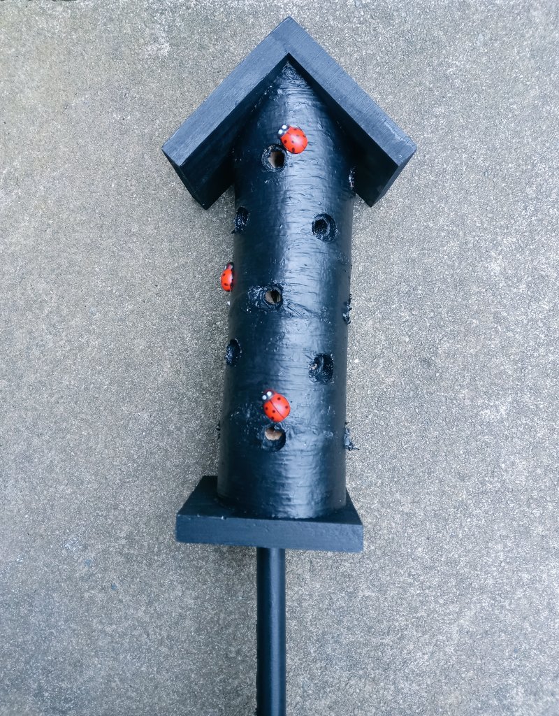 Kieran_M_Taylor's tweet photo. Been busy making some little things for Kim's garden that she wanted. A bat box, butterfly house and a ladybird tower. Painted and decorated by Kim @VictorianGoth_ in her two most favourite colours 😅🖤💜🦇🦋🐞

#gothicspring 
#gothicgardening 
#gothicnature 
#batbox 🦇 https://t.co/lPtOSepUBO