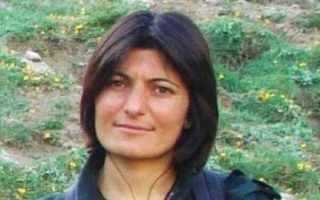 Nick Sotoudeh tweet media