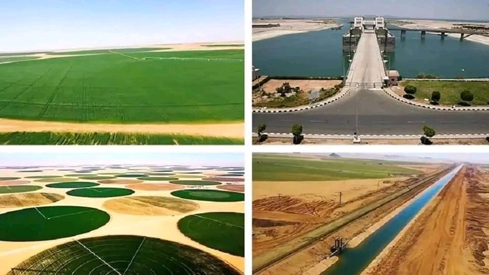 TheLastDont's tweet image. مصر تدخل موسوعة جينيس للارقام القياسية بأكبر مخزون مياه للري  واكبر مزرعة نخيل في العالم  #مصر تحول الصحراء الي جنة ♥ 

#المصريين_علي_قلب_رجل_واحد