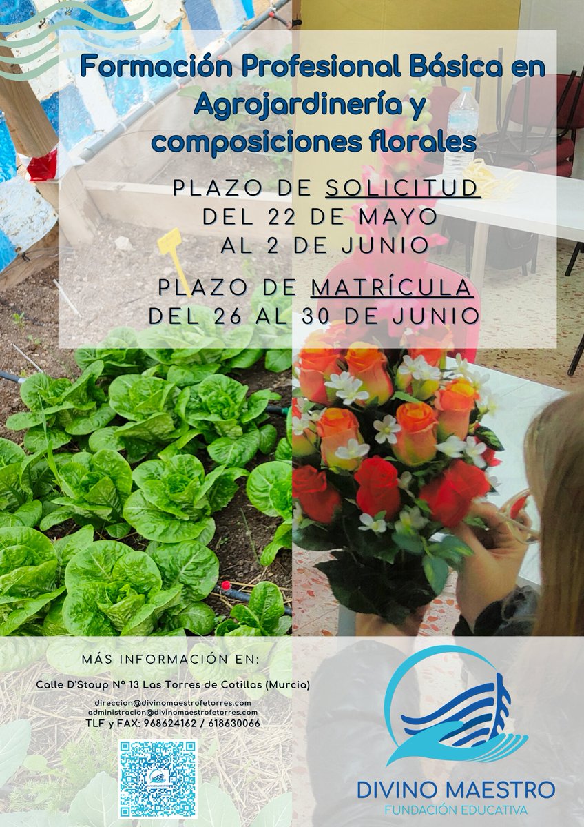 D_MaestroTorres's tweet photo. La semana que viene comienza el proceso para poder estudiar FP Básica de Agrojardinería y Composiciones Florales en el Divino Maestro de Las Torres de Cotillas. Durante estas semanas os daremos muchas razones para realizar esta FP con nosotros.
#fpdivinomaestro #fpbasica https://t.co/DMofvCmkNf