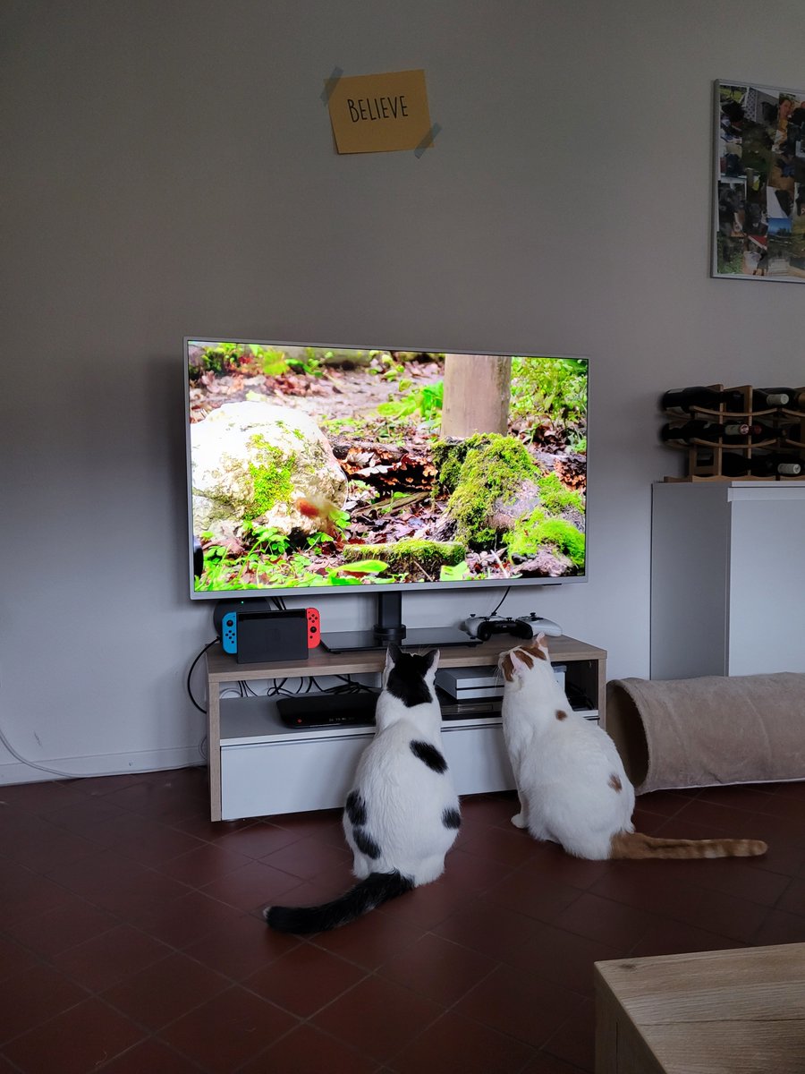 Apfelkernchen tweet media