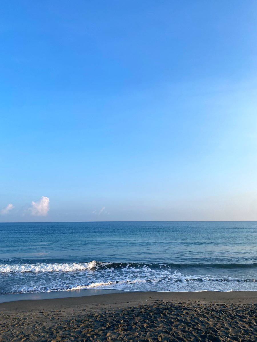 tj_rmr's tweet image. 🏝️ Island boi realness 💫 #ELYU