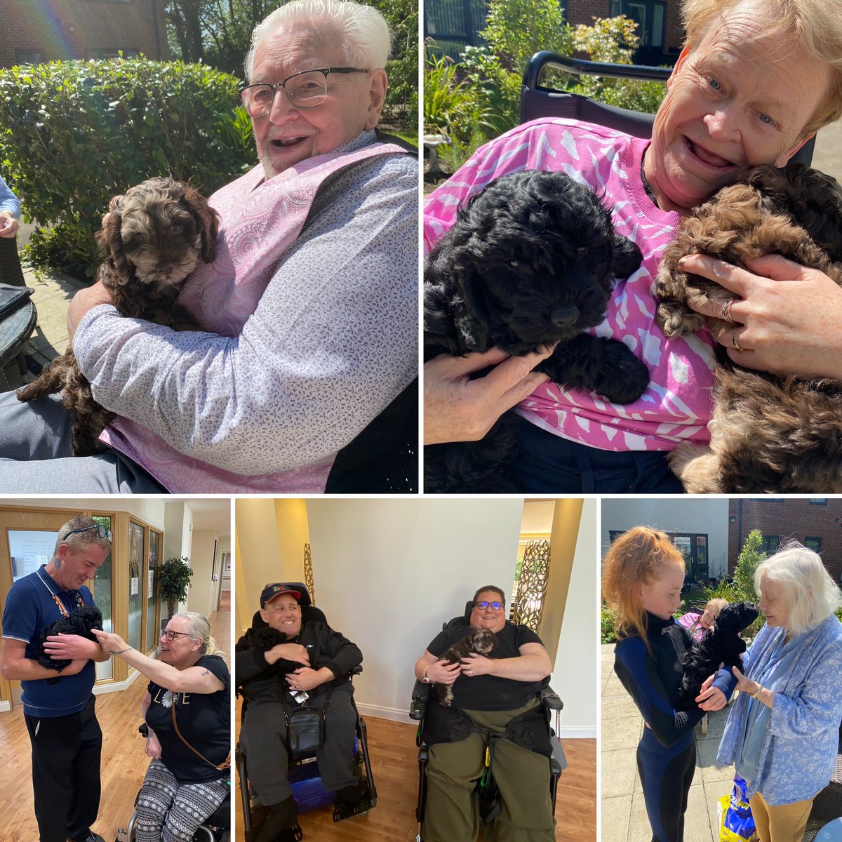 When you pop to work and the customers won’t let you leave cos you have the lovely Marley and Maggie with you.  These lovely pups sure made an impression, smiles all round 🥰