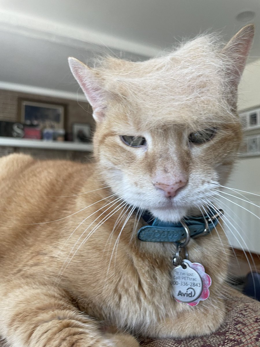 THIS is MY President 🇺🇸