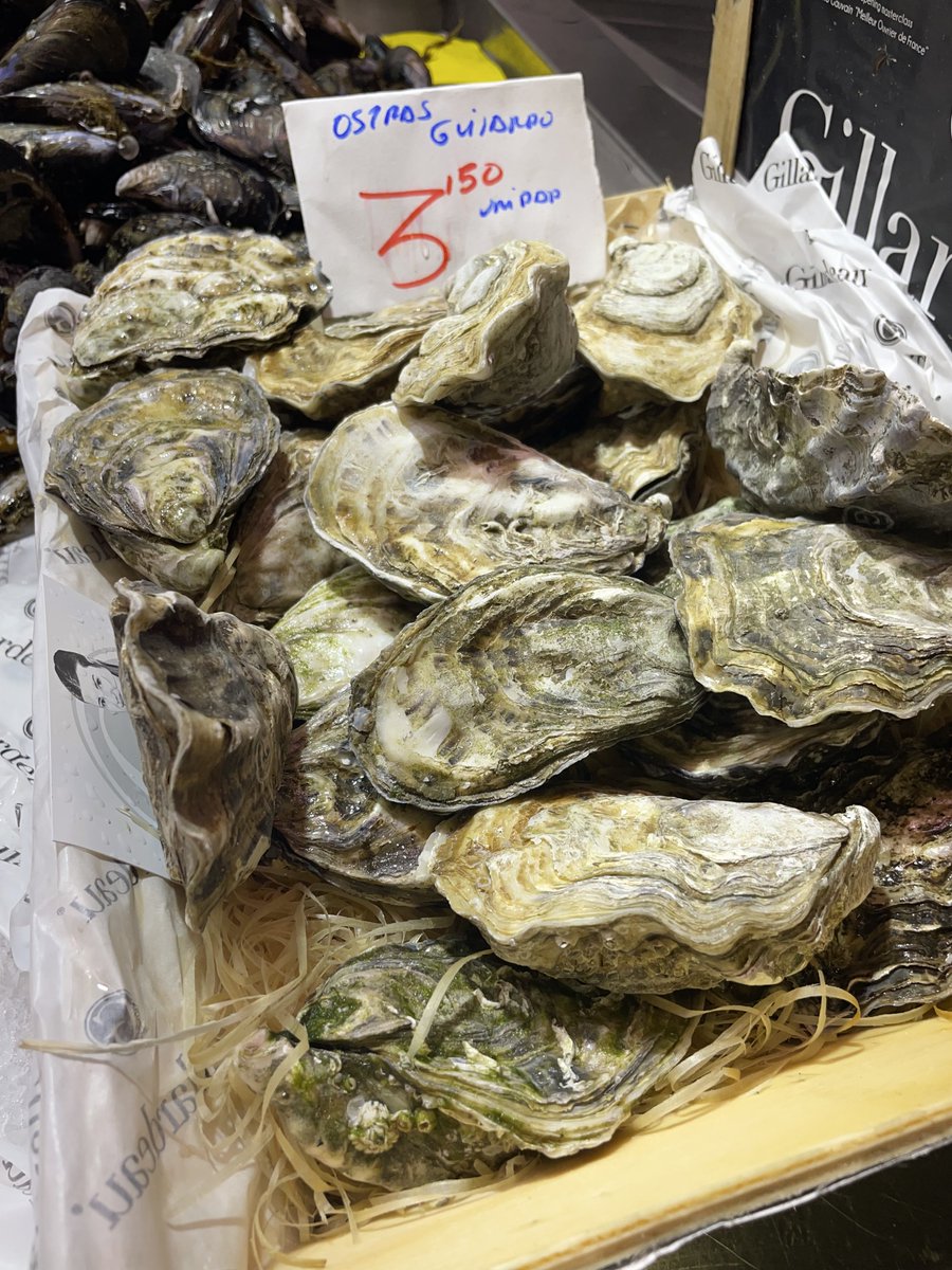 What wine for oysters? 
Is there anything that goes well with oysters?

Champagne/Sparkling Wine
Sauvignon Blanc
Muscadet
Chablis
Vermentino
.
.
what else?