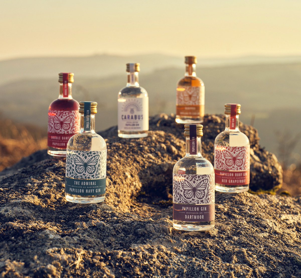 If you’re not sure which of our gins you’d prefer, why not try a #miniature 

#ginadaymay @gin_a_ding_ding #papillongin #distilledondartmoor #dartmoor #gin #ginminiatures