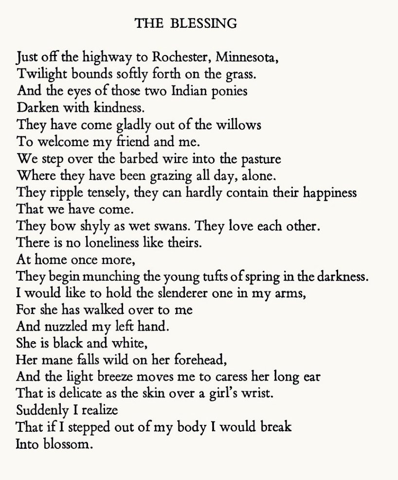 Giving this poem another outing because it's just so beautiful.

• James Wright •