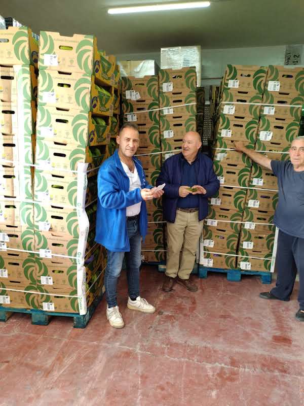 Banco de alimentos de Cuenca tweet media