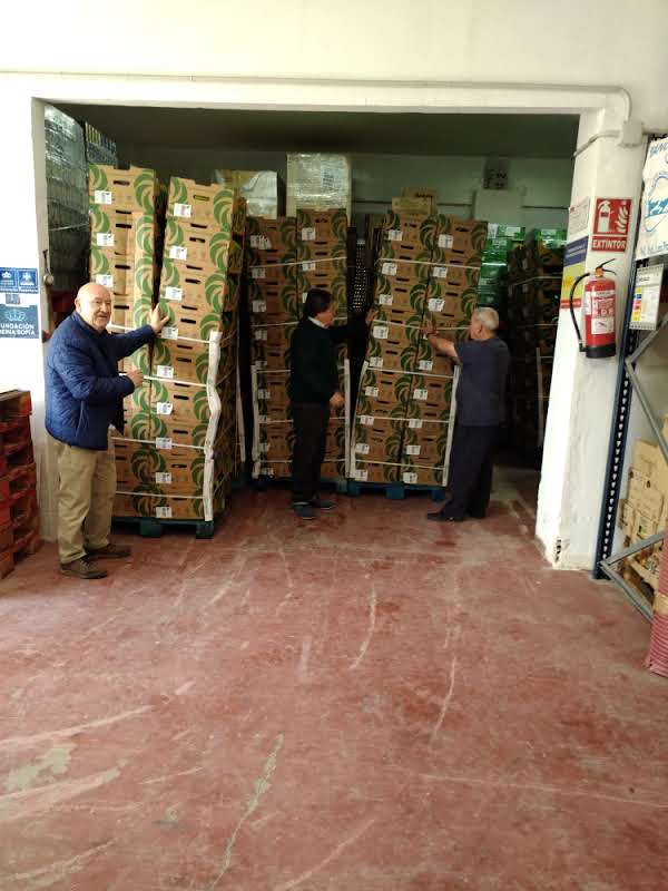 Banco de alimentos de Cuenca tweet media