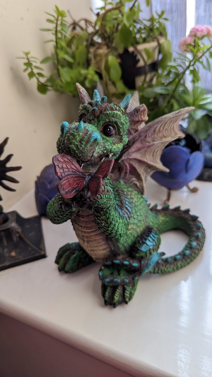 ConinaUK's tweet photo. These two cuties followed me home from Wales-not-Wales. They heard I'm good at giving dragons a forever home 😆
#dragons #alator #NemesisNow #MotherOfDragons https://t.co/hCLkUKoHEl