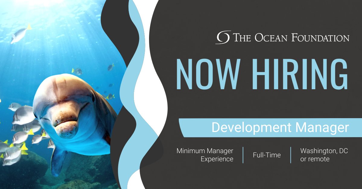 oceanfdn's tweet photo. 📢 WE ARE HIRING 📢
Our External Relations Team is looking for a new member to steer the development ship. Are you going to be our new Development Manager? Read more 👇
https://t.co/DtnOzQYOzE https://t.co/v6iG8XhqFI