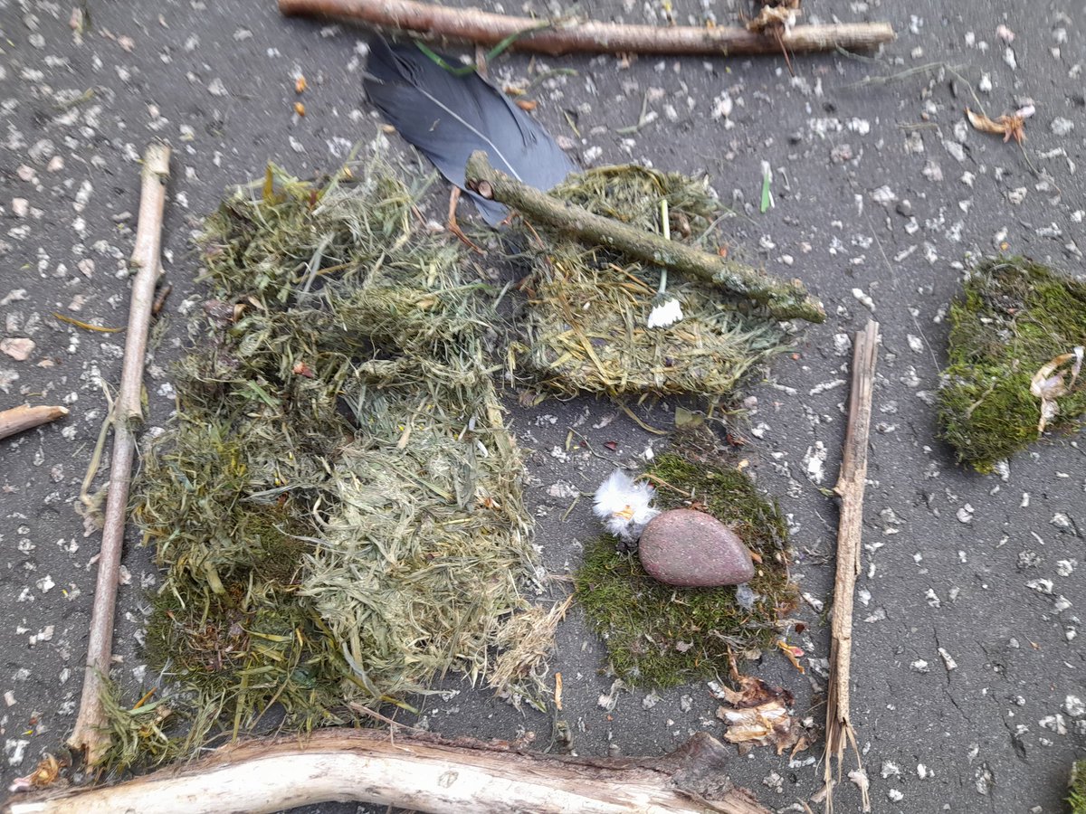 glitterant's tweet photo. 5th Stretford Rainbows bird pictures for our Together With Nature badge @Girlguiding_NWE @GirlguidingGMW https://t.co/tRgnDgIp5a