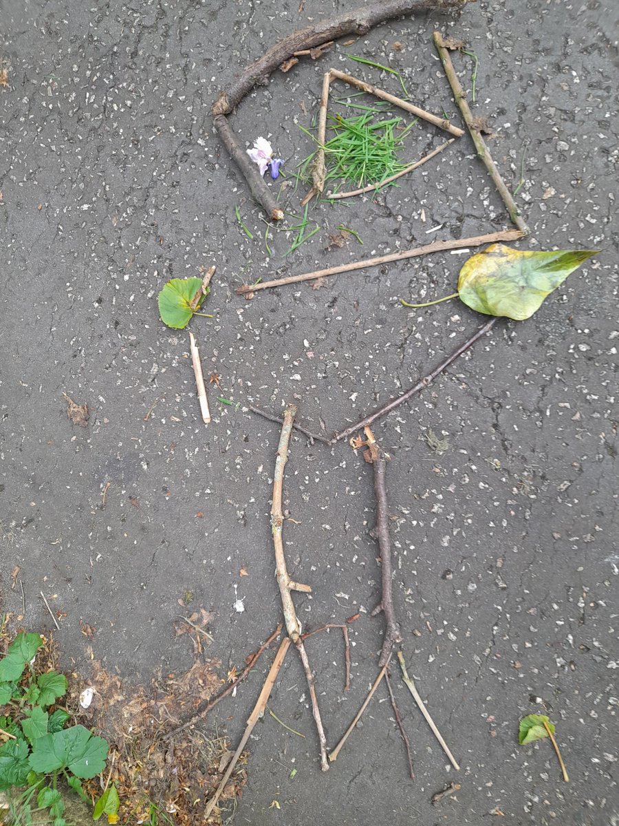 glitterant's tweet photo. 5th Stretford Rainbows bird pictures for our Together With Nature badge @Girlguiding_NWE @GirlguidingGMW https://t.co/tRgnDgIp5a