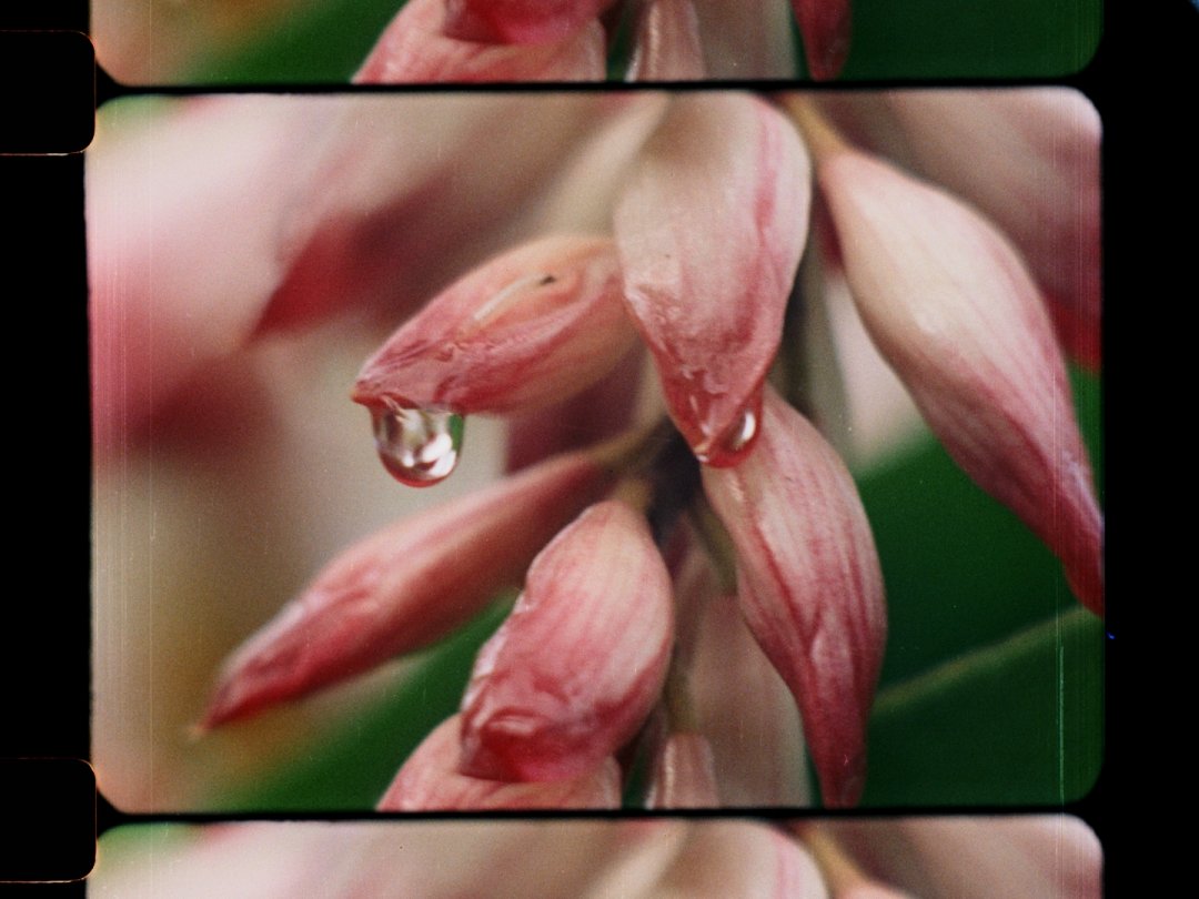 FrameDiscreet's tweet image. Recent work by Bridget Farr Redmond of the Lightproof Film Collective
Timed &amp;amp; Flat versions
 16mm Colour Film