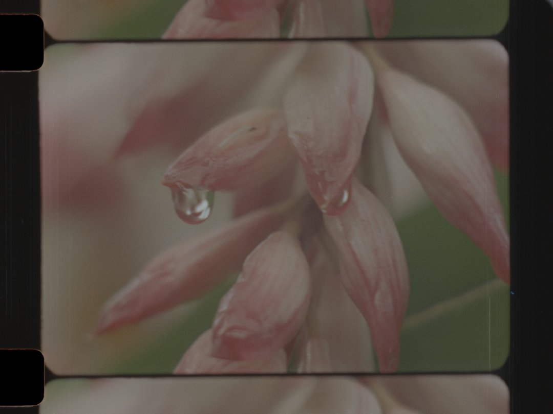 FrameDiscreet's tweet image. Recent work by Bridget Farr Redmond of the Lightproof Film Collective
Timed &amp;amp; Flat versions
 16mm Colour Film