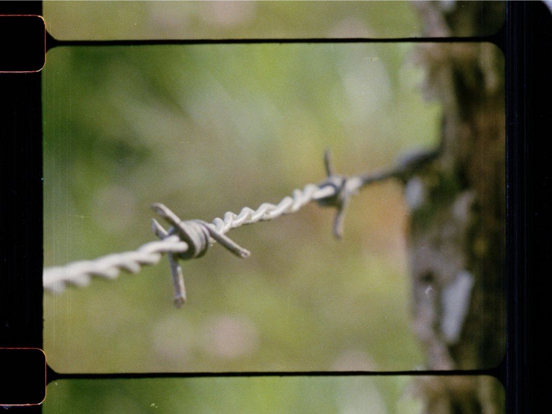 FrameDiscreet's tweet image. Recent work by Bridget Farr Redmond of the Lightproof Film Collective
Timed &amp;amp; Flat versions
 16mm Colour Film