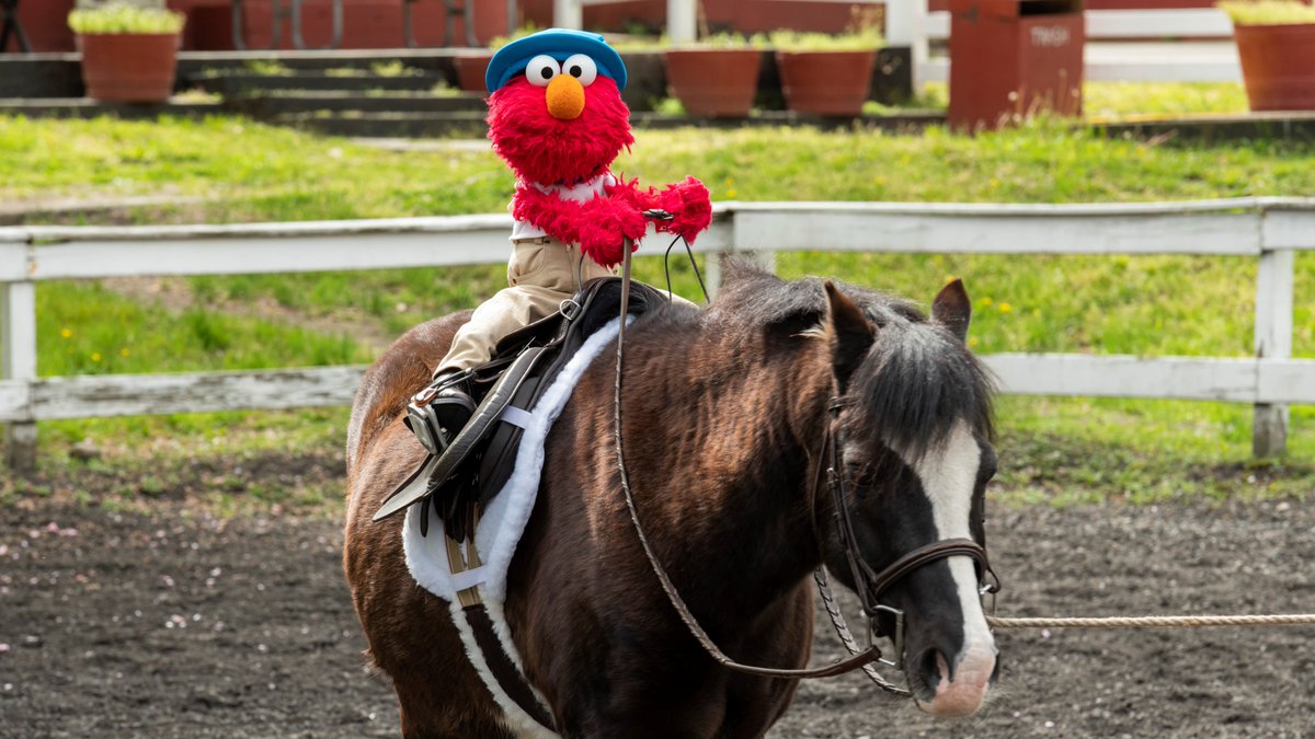 elmo's tweet photo. Yeah baby! Saddle up and let’s ride! 😎🐴 https://t.co/RUAI9HZmC4