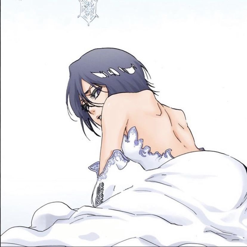 Will shonen ever have a better/greater female character than rukia ? Unfortunately I don't think so
