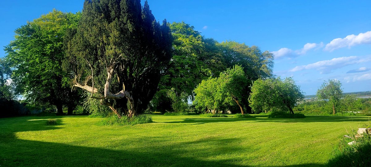 A beautiful evening in the Walled Garden for our #Airbnb guests to dine outdoors with produce from our #Organic #kitchengarden. 

#MountBriscoeOrganicFarm 
#visitoffaly 
#keepdiscovering 
#IrelandsAncientEast 
Mountbriscoe.ie 
@Failte_Ireland