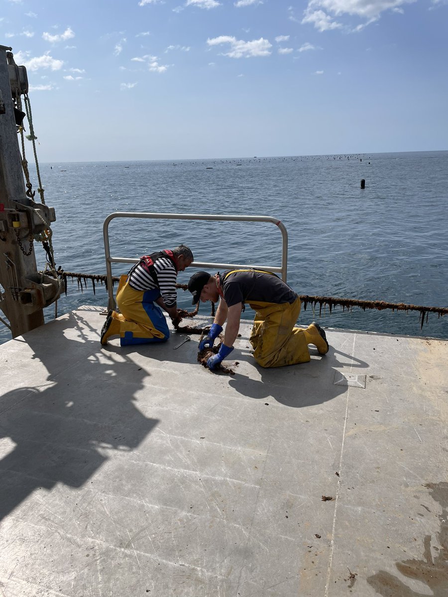 ThomasStamp's tweet image. Great day servicing @fish_intel @Innovasea receivers and deploying @CheloniaLtd FPODs with @OffshoreShell @Dr_Emma_Sheehan @PlymUni @_RDUK  #trackingnotslacking