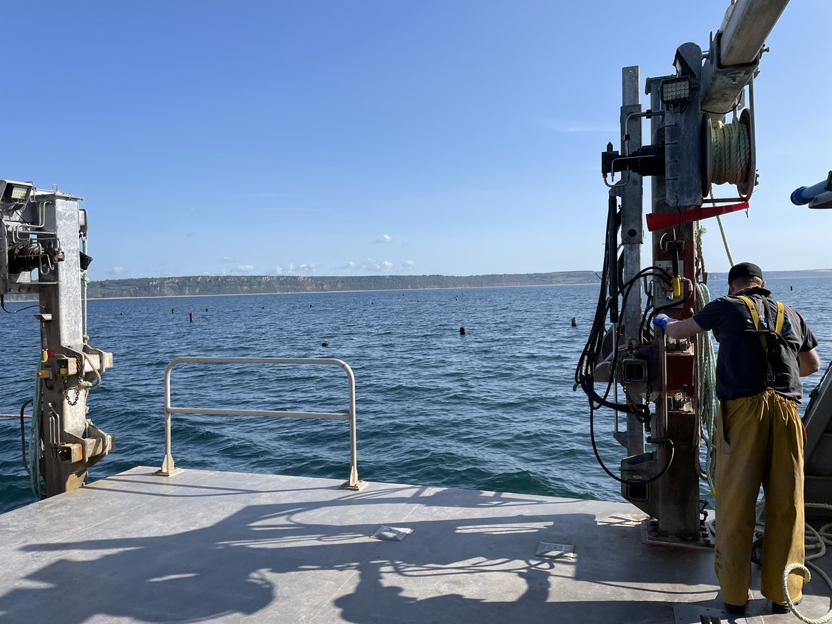 ThomasStamp's tweet image. Great day servicing @fish_intel @Innovasea receivers and deploying @CheloniaLtd FPODs with @OffshoreShell @Dr_Emma_Sheehan @PlymUni @_RDUK  #trackingnotslacking