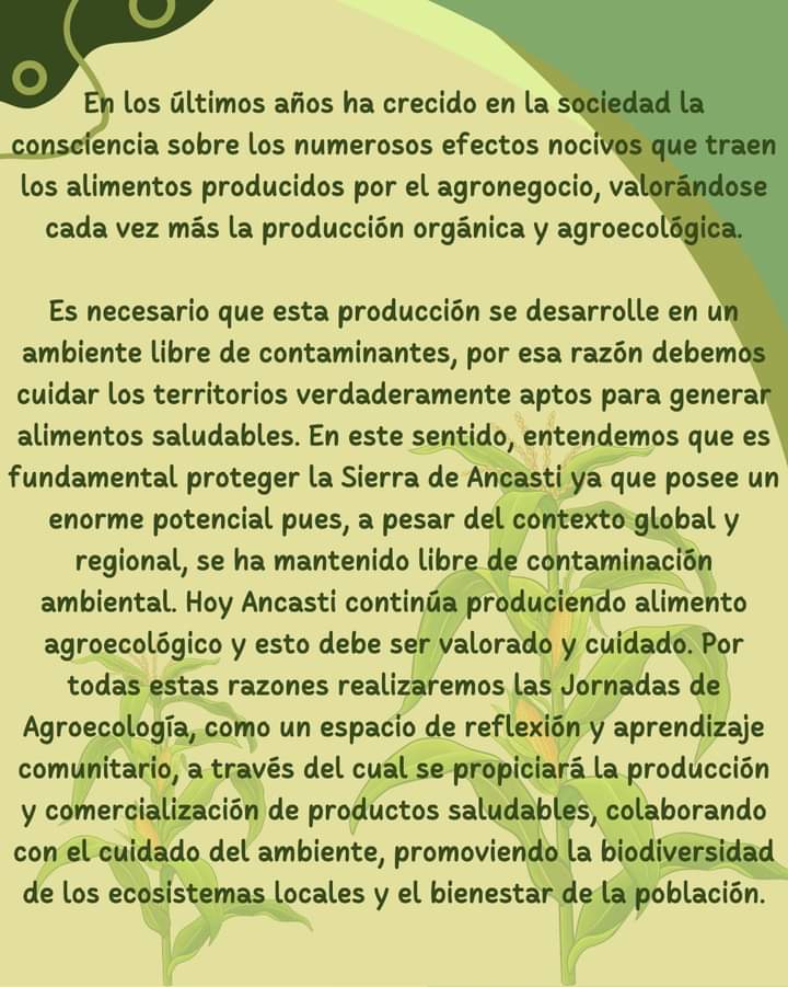 asoc_BePe's tweet photo. https://t.co/EV0D5C52sG