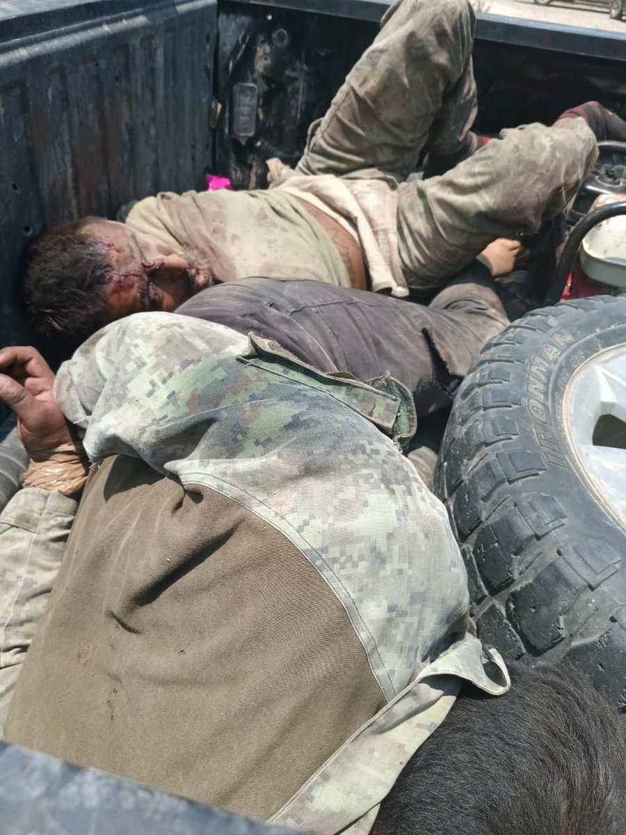 TamCodigoRojo's tweet photo. La guerra que no existe continúa derramando sangre por las carreteras de Tamaulipas. 

Así quedaron sicarios de los “escorpiones” en el enfrentamiento de anoche en #Mendez contra Zetas y Metros @oscarbalmen @vigilantehuaste @FuriaNegra77 https://t.co/abQB00nfX6