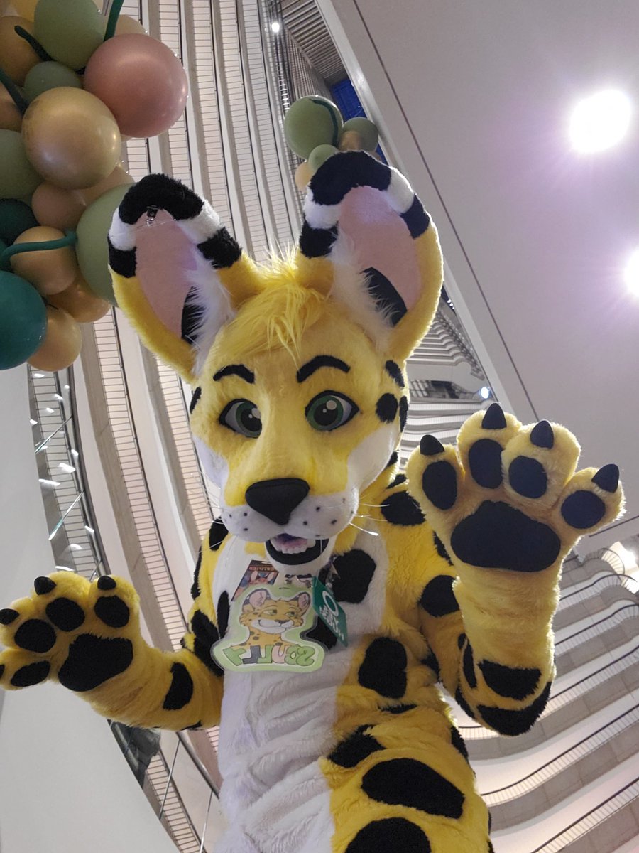 poofsuits's tweet photo. @ScullyServal Practicing pouncing! https://t.co/YkGqnVkSom
