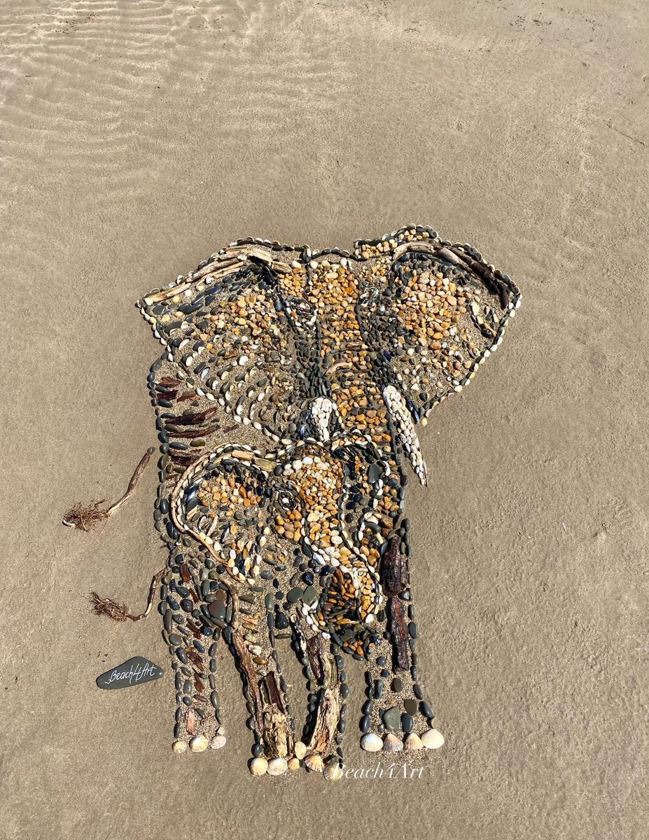 Mother Elephant with her Calf Made at Sandymere beach by Beach4Art  today but unfortunately the tide got the better off them and were unable to give it the finishing touches but still looks great