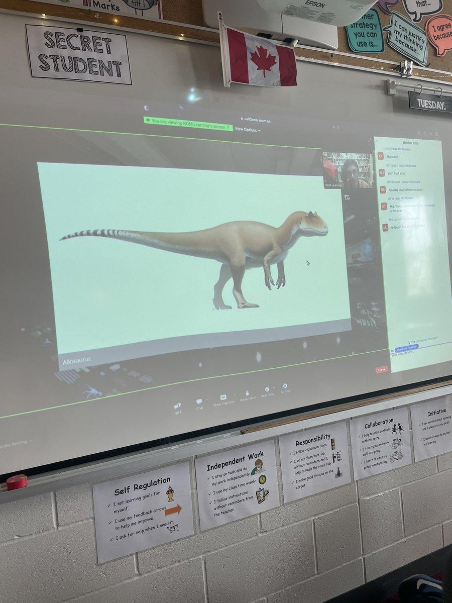 Thanks <a href="/ROMtoronto/">Royal Ontario Museum</a> for an amazing virtual trip on dinosaurs today! <a href="/StGregoryHCDSB/">St. Gregory</a>