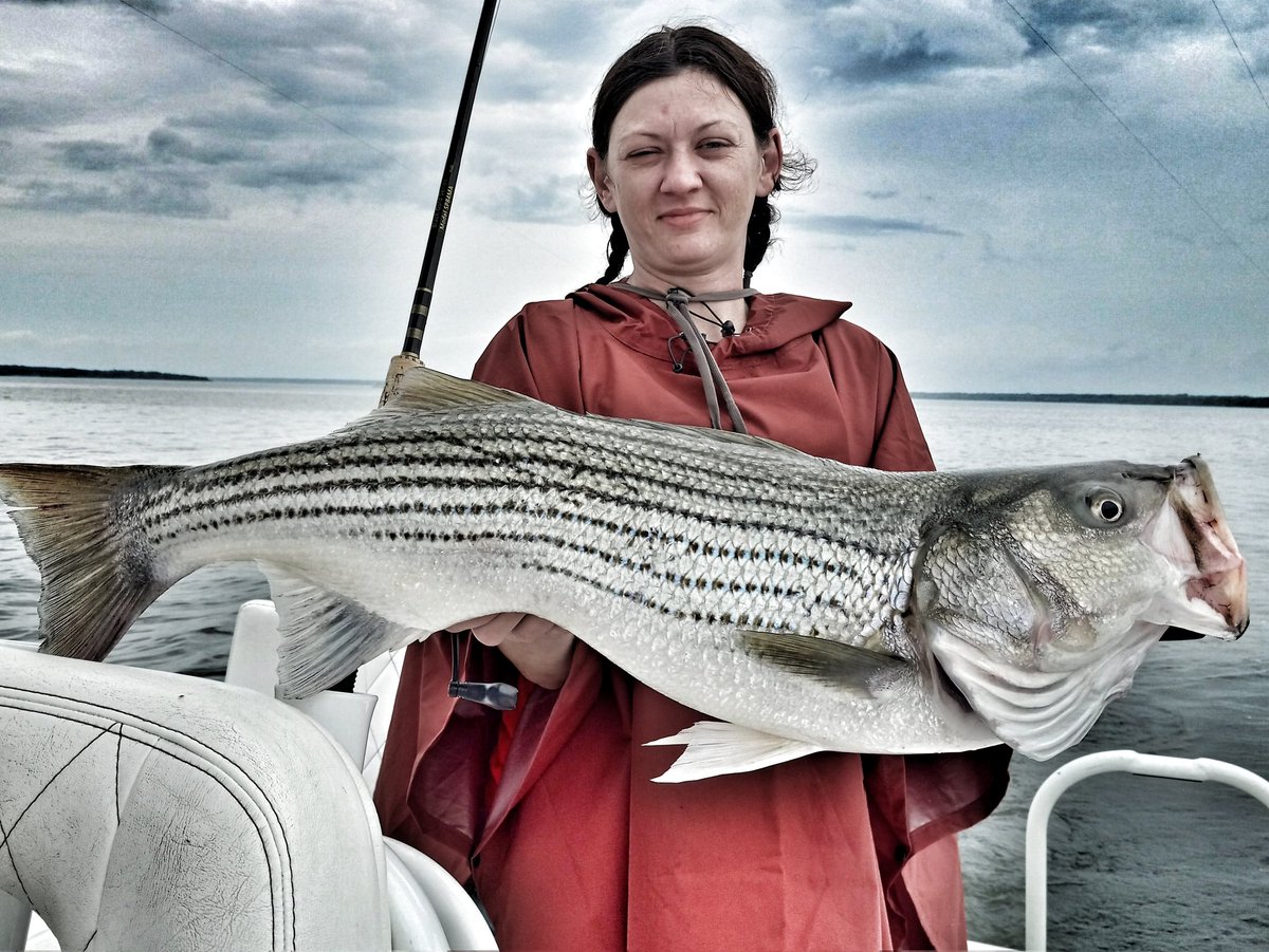 DahgMahn's tweet photo. #CaptainMike
#BigFish #TrophyFish #Striper #StripedBass #Bass #Hookers #FishOn #startournament #tpwd #snapper #deepseafishing #fishing #saltwaterfishing #fishinglife #sportfishing #offshorefishing #saltwaterfishing #fishinglife #LakeLife #RT #IARTG #Indie https://t.co/BZLn5YYhNB