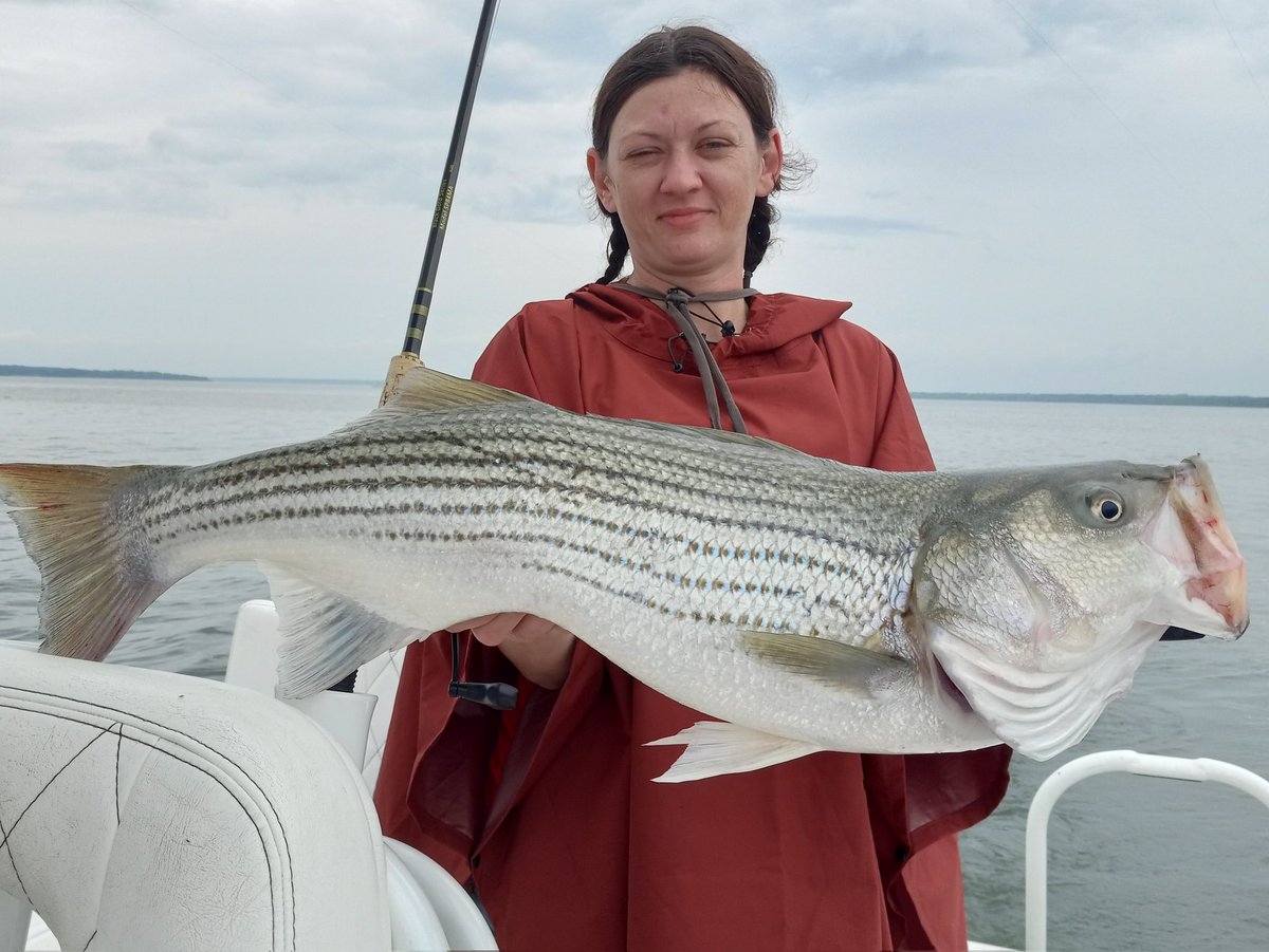 DahgMahn's tweet photo. #CaptainMike
#BigFish #TrophyFish #Striper #StripedBass #Bass #Hookers #FishOn #startournament #tpwd #snapper #deepseafishing #fishing #saltwaterfishing #fishinglife #sportfishing #offshorefishing #saltwaterfishing #fishinglife #LakeLife #RT #IARTG #LordsoftheLake #Indie https://t.co/OWBZaq9MAi