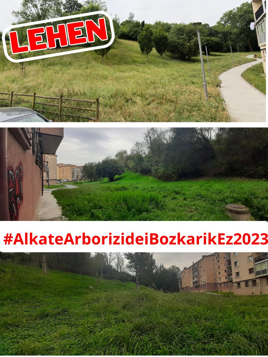 artiakolagunak's tweet photo. ⚠️#Irun|en beste #Berdegune bat galdu dugu #Lapitze auzoko #MiguelDeAmbulodi kalean #Aparkalekuak🅿️eraikitzeko.
@Irun_informa eta @jasantano|ren #IrunDa, #IrunJASanGaitza, #Parkeak, #Berdeguneak eta #Zuhaitzak suntsitzen dituen #IrunJASanezina.
#AlkateArborizideiBozkarikEz2023‼️ https://t.co/SrHVEglxKq