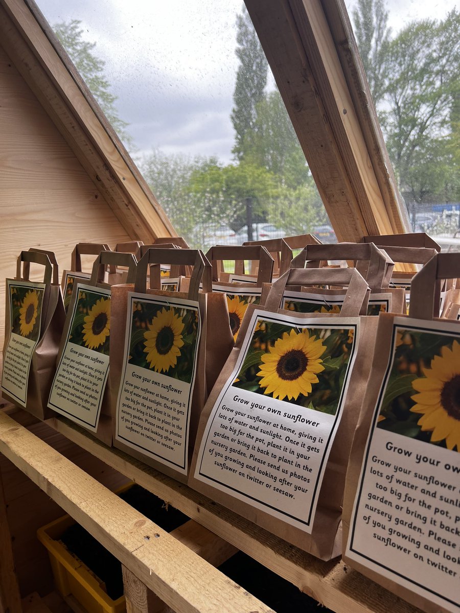 beancrossELC's tweet photo. We have a grow your own sunflower kit for every child 🌻 if you haven’t received yours yet, be sure to get it tomorrow! Tweet/Seesaw us your growing pics! 

(If you need extra seeds there will be some at pick up/drop off for you) 

#cookyourroots #transition https://t.co/n3MBGUXlZY