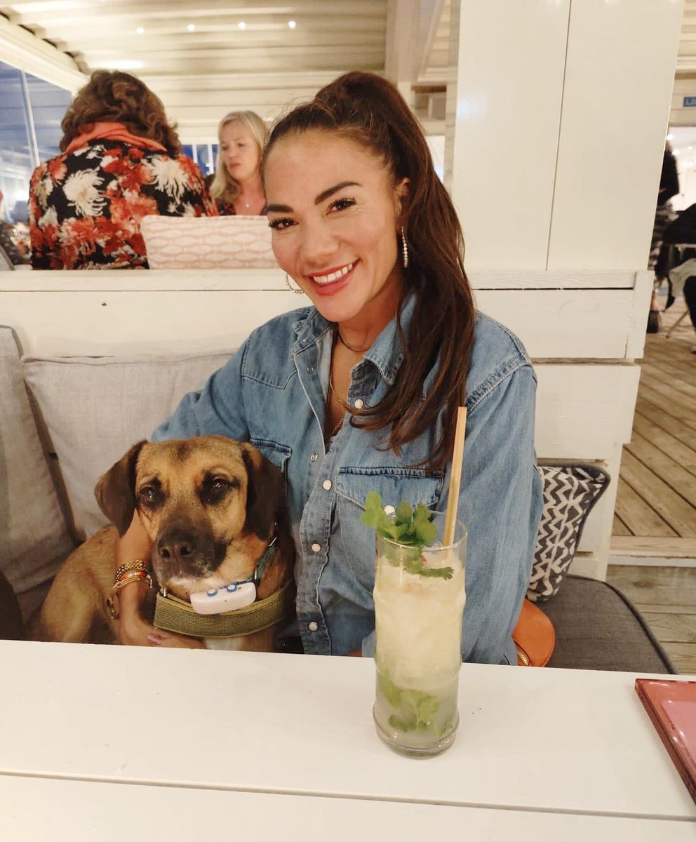 Susie__Chan's tweet photo. Three years of my rescue dog and run partner MannyDog ❤️🐕
He’s not always at ease around other people, but so lovely
& loyal to those he knows
#manniversary https://t.co/nQJsyMJpHU